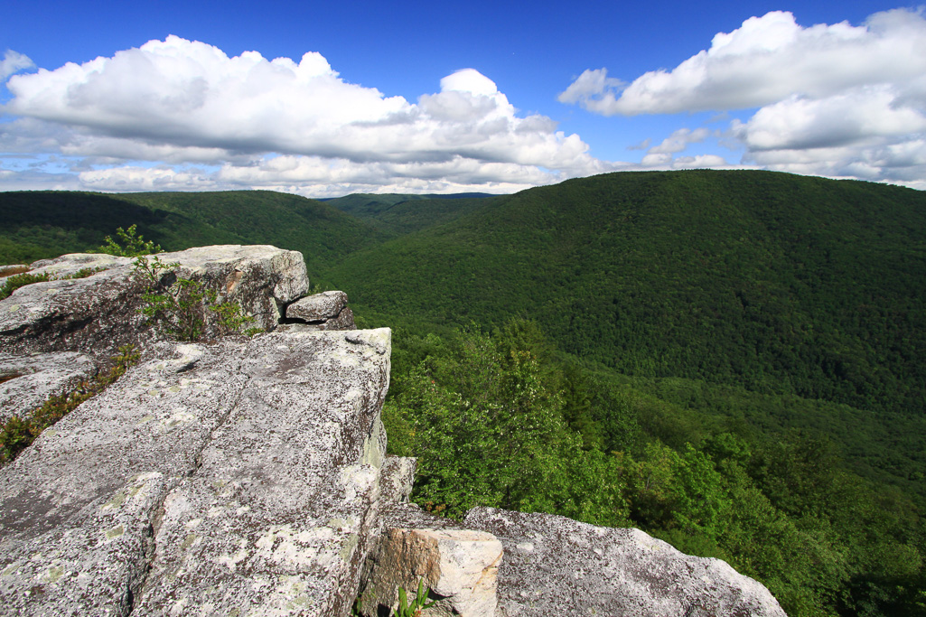The Monongahela Forest - Table Rock, West Virginia