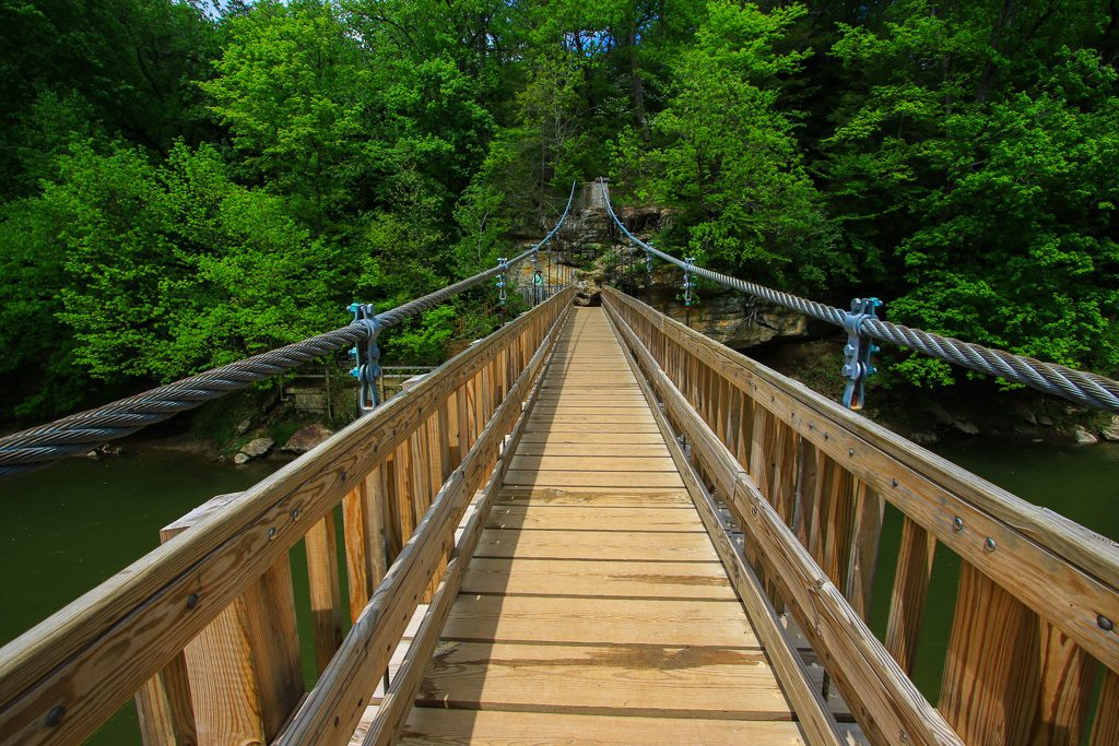 Suspension bridge cables - Turkey Run State Park