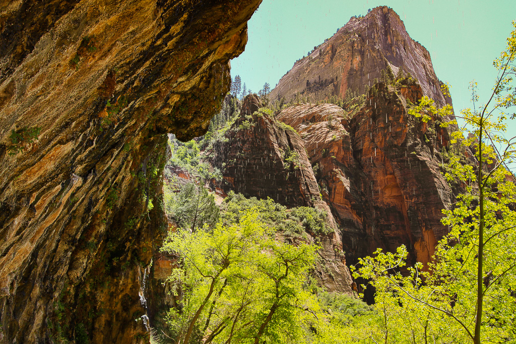 Alcove view - Weeping Rock Trail