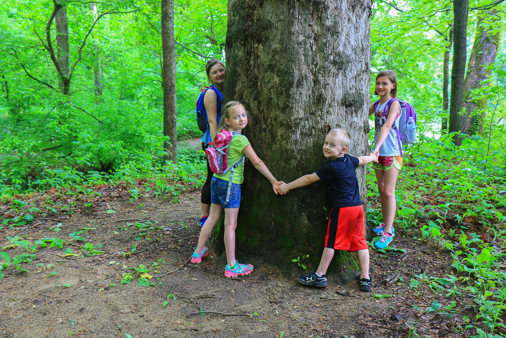 Tree huggers - Turkey Run State Park, Indiana 2015