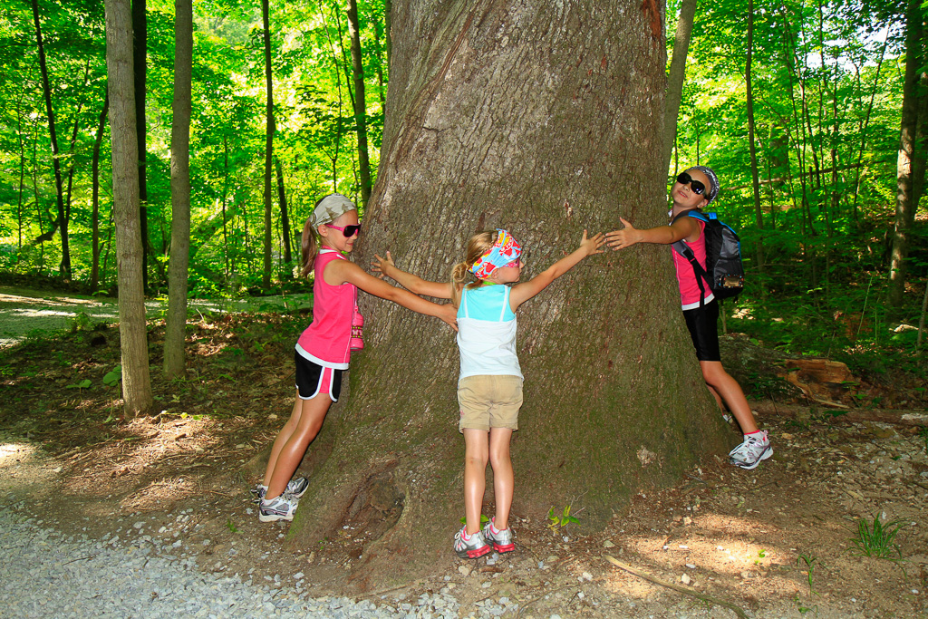 Human tree gauge. Battelle Darby Metro Park, Ohio 2012